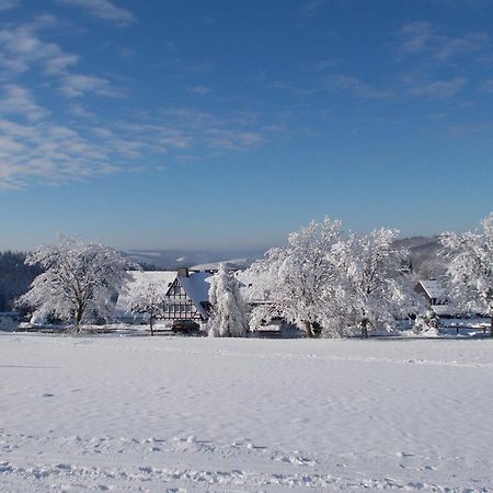 Berghotel Lenneplaetze Winterberg Eksteriør billede