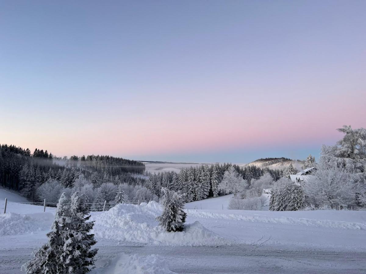 Berghotel Lenneplaetze Winterberg Eksteriør billede