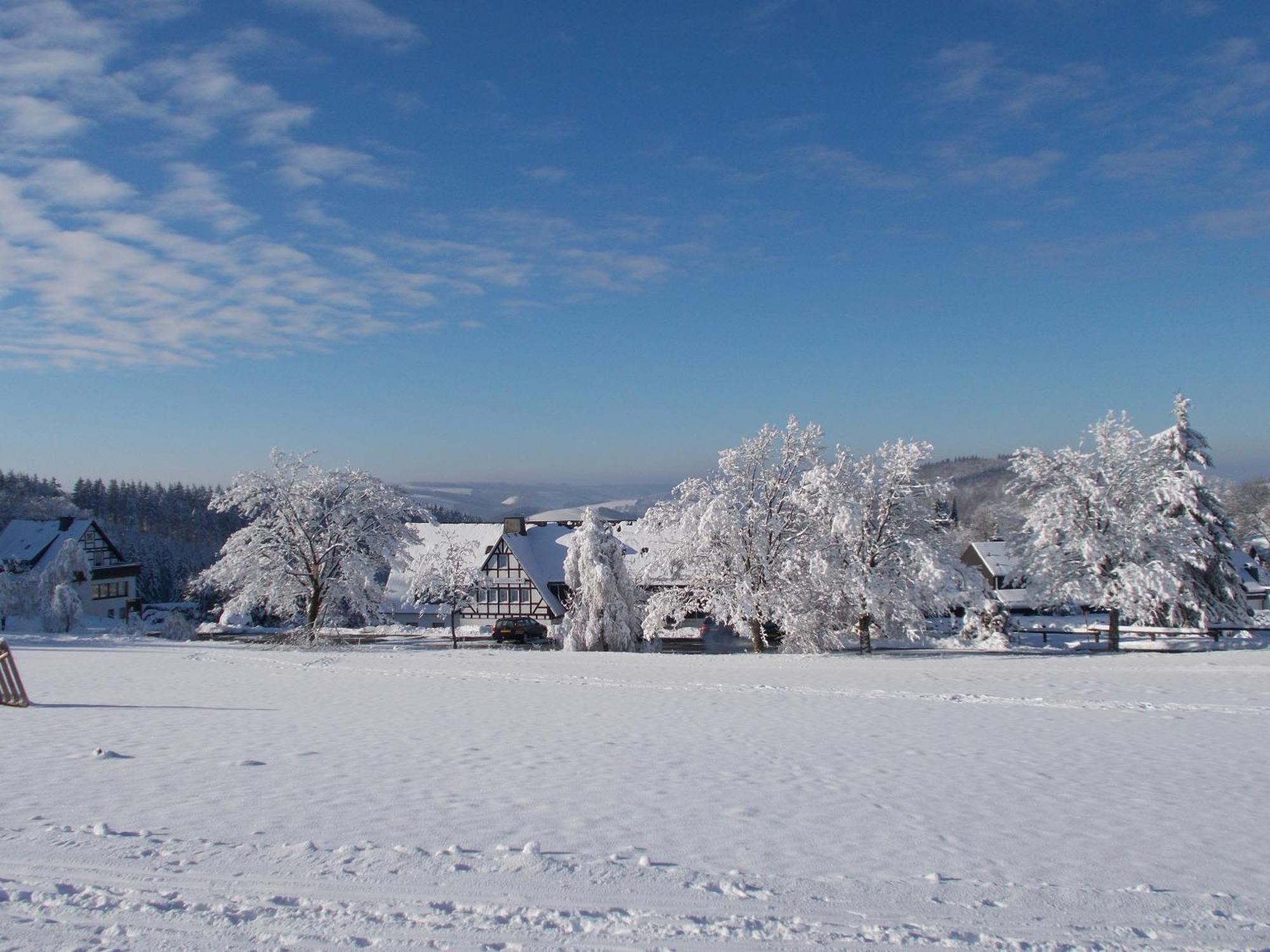 Berghotel Lenneplaetze Winterberg Eksteriør billede